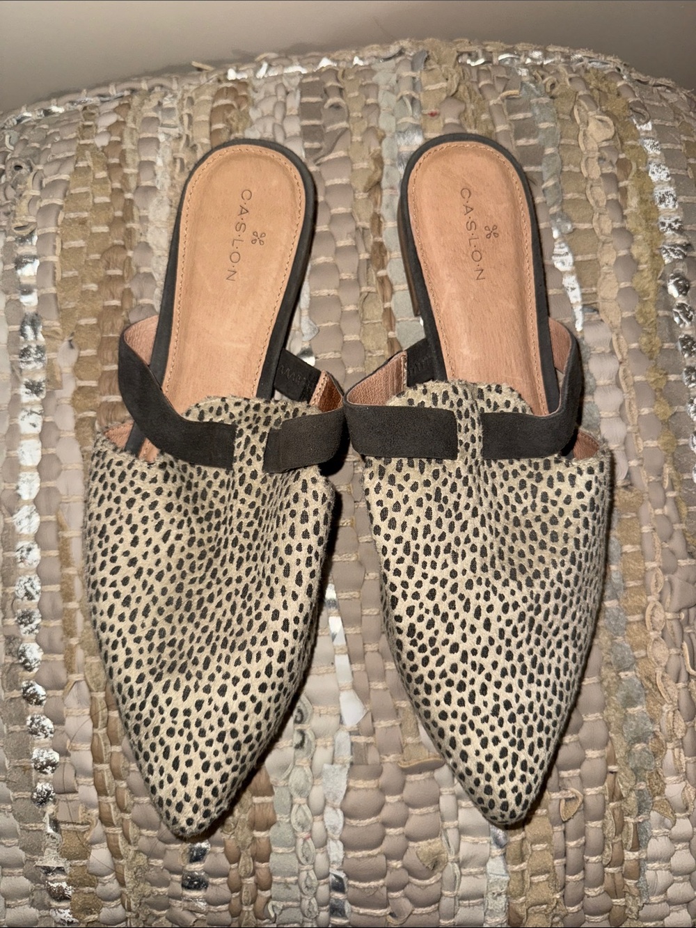 Pointy Toe Flats